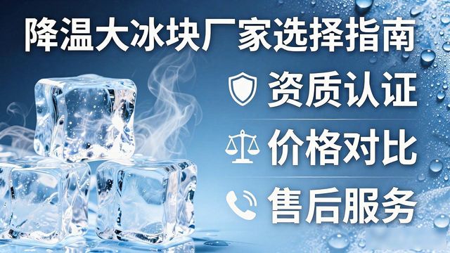 降温大冰块厂家直供_降温大冰块质量细节_闵行降温大冰块销售厂家